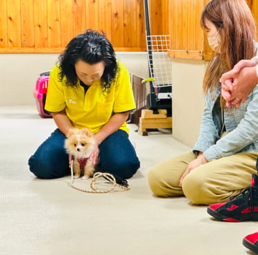 子犬しつけ教室ハンドリング画像