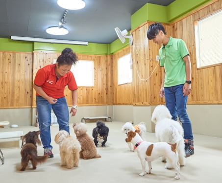 レッスン中の犬とスタッフの画像