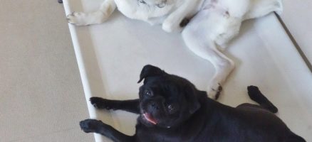 やっぱり