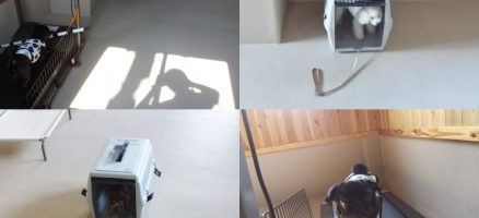 みんなそれぞれ頑張っとります