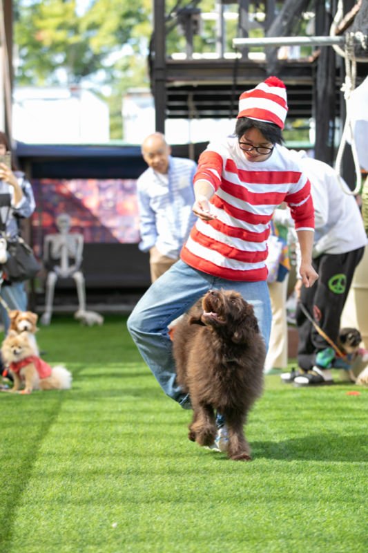 プライベートレッスン