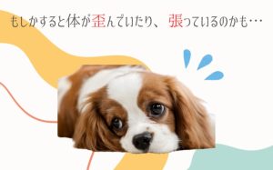 FeelFun整体イベント9月開催スケジュール
