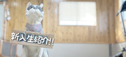 新入生紹介！！