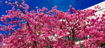 新入生紹介！！３月！！