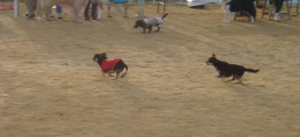 イベント告知