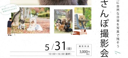 写真撮影会のお知らせ