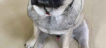 ひとり相撲にご注意を