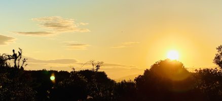 新入生紹介！！11月！！