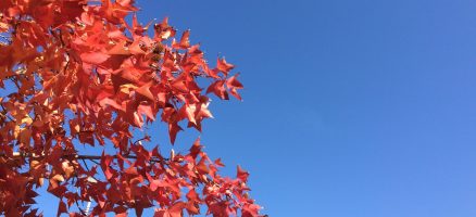 Feel Fun実践会2019年11月30日～カフェマナー編～