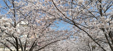 新入生紹介　～個性が光っています♬～