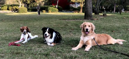 FeelFun実践会2018年10月27日～お散歩練習編～