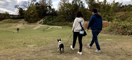 Feel Fun実践会2018年11月23日～お散歩練習編～