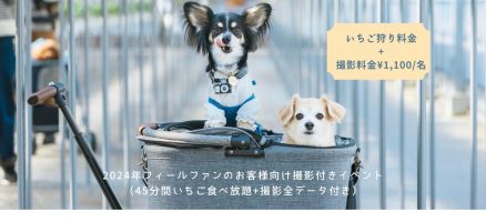 いちご狩り撮影会のお知らせ