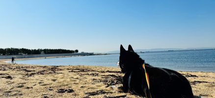 新入生紹介！９月！！