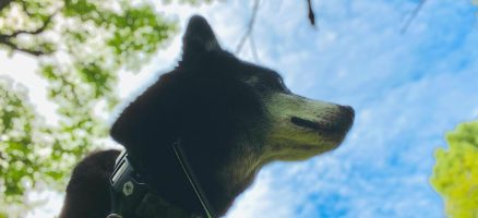 新入生紹介！！10月！！