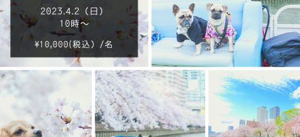 【桜クルーズ＆おさんぽ撮影会】について