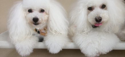 ケアにも慣らそう♪