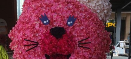 新入生紹介　～みんな急成長中！～