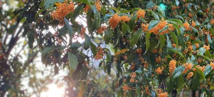 新入生紹介！１０月！！