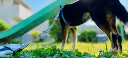 新入生紹介！！５月！！