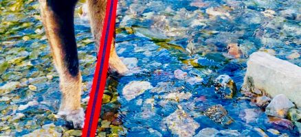 新入生紹介！８月！