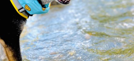 新入生紹介！！8月！！