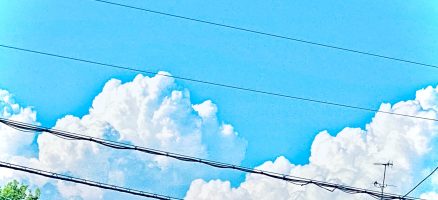 新入生紹介！！7月！！