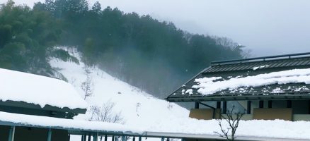 新入生紹介！！１月！！vol.2