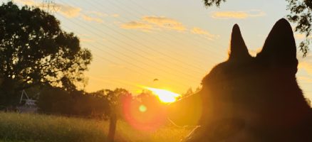 新入生紹介！！９月！！！