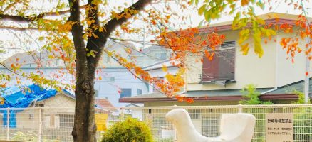 新入生紹介！！１１月！