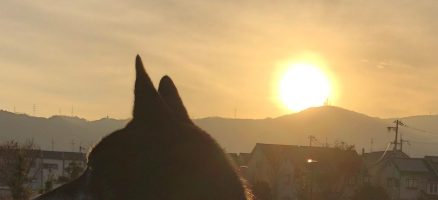 新入生紹介！！１月！！