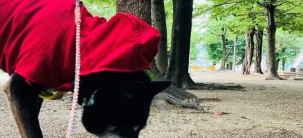 新入生紹介！！7月！！