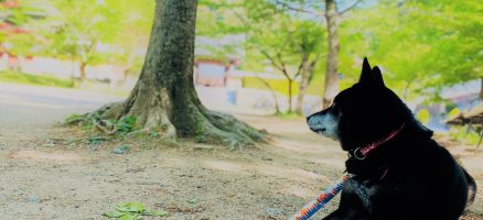 新入生紹介！！4月Part2！！