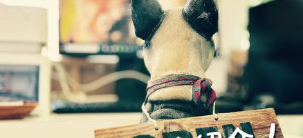 新入生紹介！！