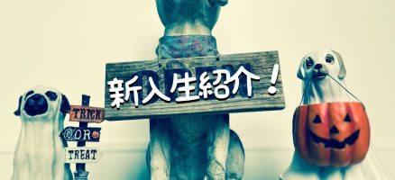 新入生紹介！！