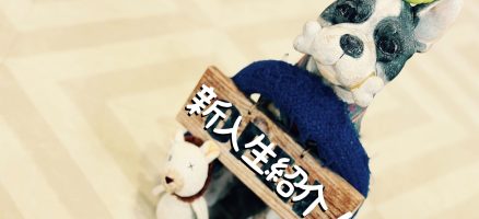 新入生紹介！！